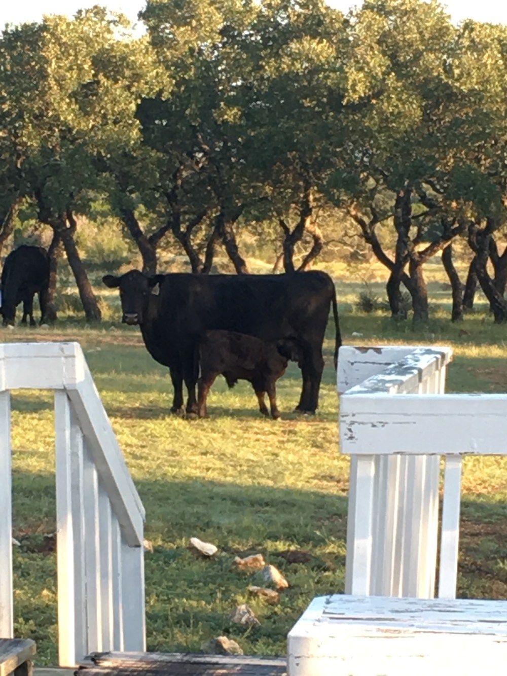 01a1cf06ec8d0506e3195f58548efcacaf2b59b10d