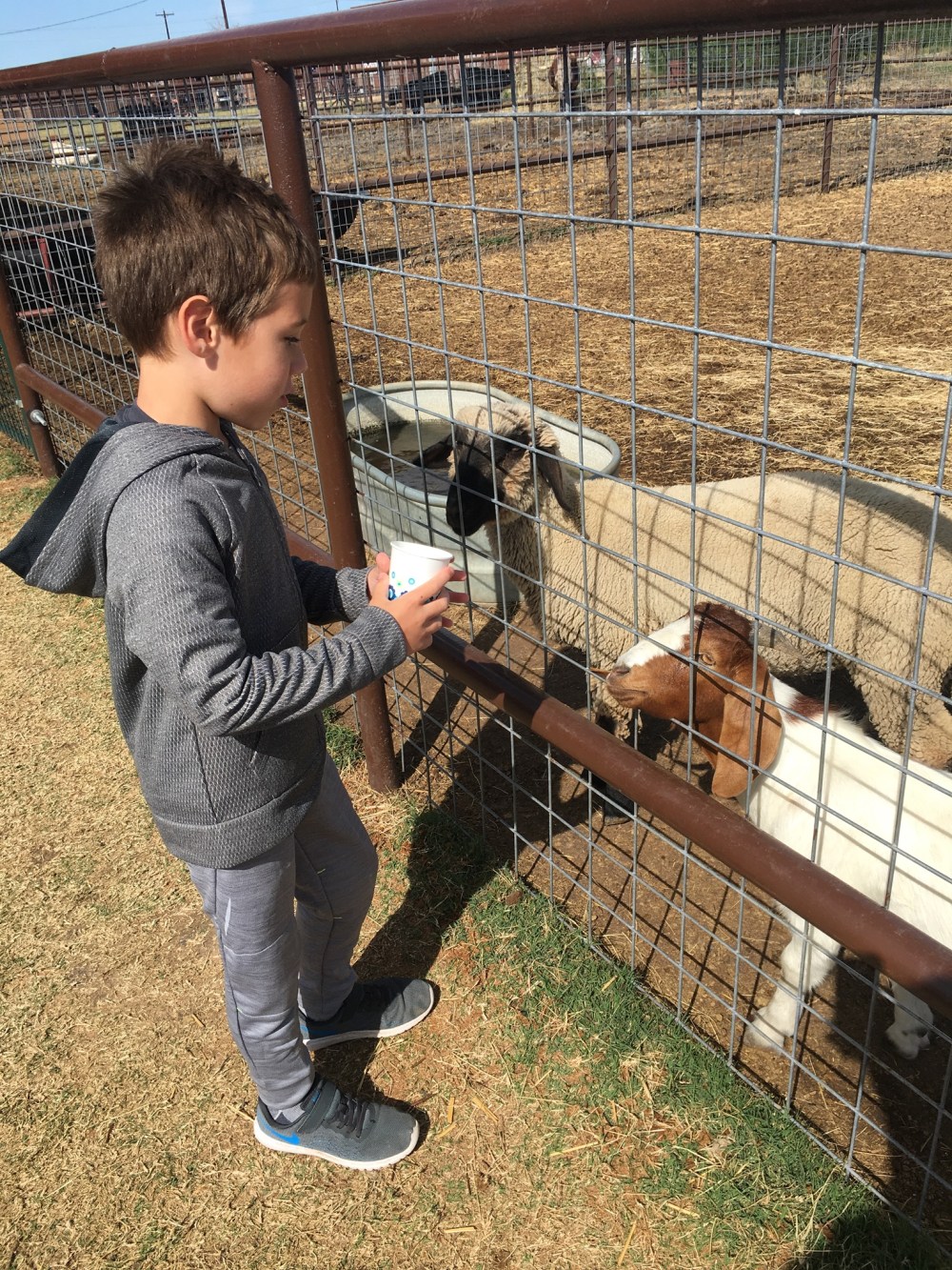 01daac2405160f44ccd6cd25a02d176d5bcbc466f0