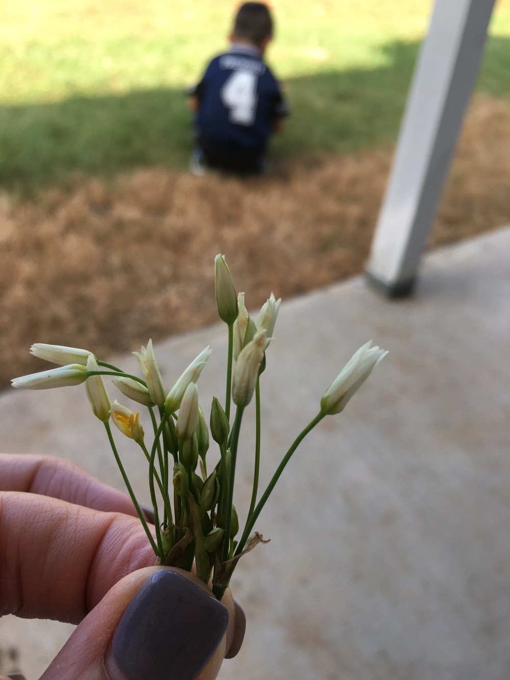 01dd8aba4a7f0b68112ff84287154f712bca765f49